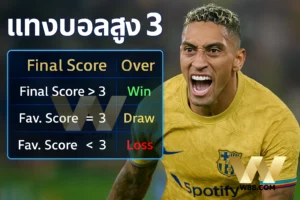 ราคาบอล 3 คือ